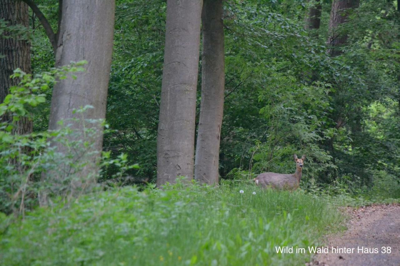 Huis 38 Seepark Kirchheim Kirchheim  Eksteriør billede